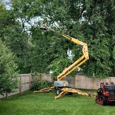 Best Hedge Trimming  in Wellsboro, PA