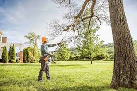  Wellsboro, PA Tree Care Pros