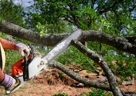 Best Stump Grinding and Removal  in Wellsboro, PA
