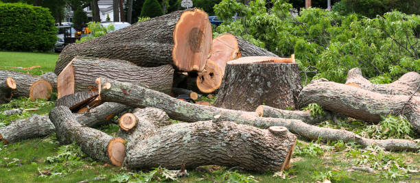 Best Arborist Consultation Services  in Wellsboro, PA