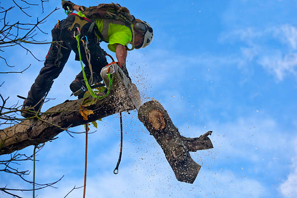 Lawn Watering Services in Wellsboro, PA