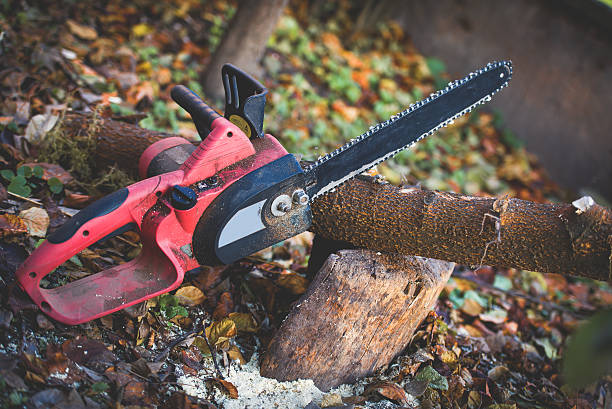 Best Lawn Maintenance Plans  in Wellsboro, PA
